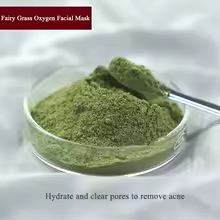 Green Clay Face Mask Powder – Natural Purifying & Oil Control Mask