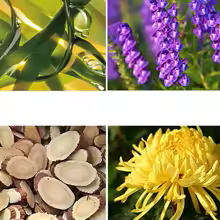 Vitamin C Face Serum